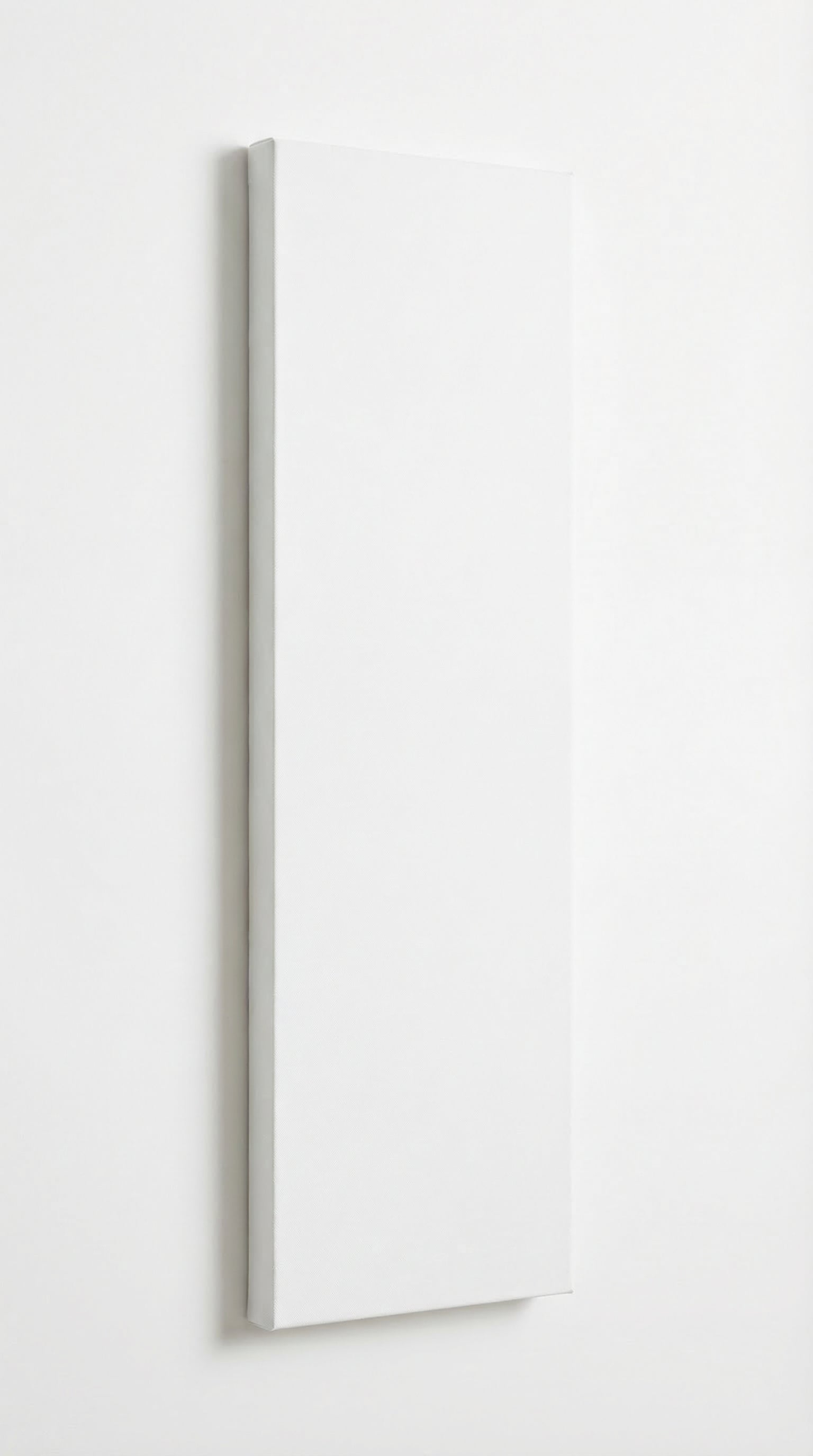 14x50 Panoramic Custom Canvas